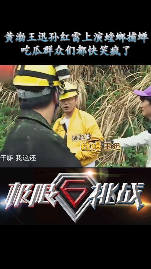 吃瓜群众笑娱乐,吃瓜群众笑看娱乐风云