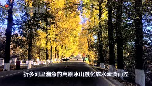 娱乐吃瓜君豪宅,揭秘豪宅背后的明星生活