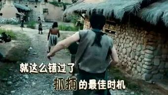 吃瓜娱乐君被告,陈飞宇胜诉，博主拒道歉遭强制执行赔偿”