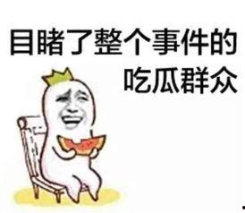 娱乐圈吃瓜群众心态崩溃,心态崩溃背后的心理探析