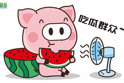 娱乐吃瓜酱蠢人,网红张大奕的逆袭之路