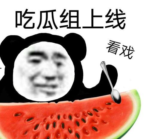 娱乐吃瓜找朋友,结交志同道合的朋友