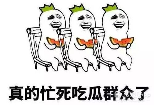 娱乐吃瓜吗,揭秘明星幕后故事