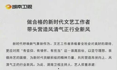 吃瓜娱乐圈总结,揭秘明星幕后故事