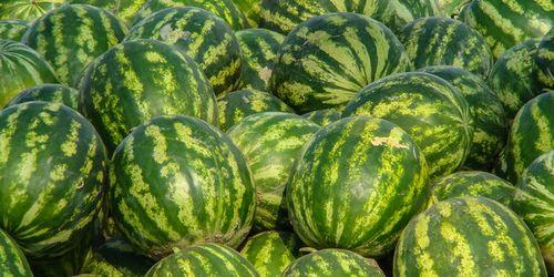 娱乐吃瓜酱芜湖,芜湖风云录，揭秘娱乐圈背后的故事