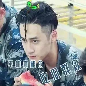 娱乐吃瓜网名男生,揭秘男明星们的瓜田秘事