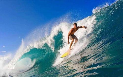 娱乐吃瓜君冲浪,揭秘娱乐圈最新热点事件