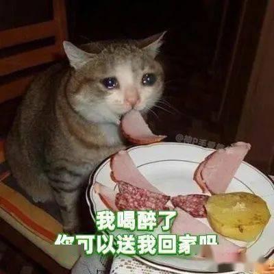 吃瓜娱乐绿茶猫,揭秘娱乐圈背后的秘密