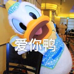 娱乐吃瓜君鸭,揭秘娱乐圈那些不为人知的幕后故事