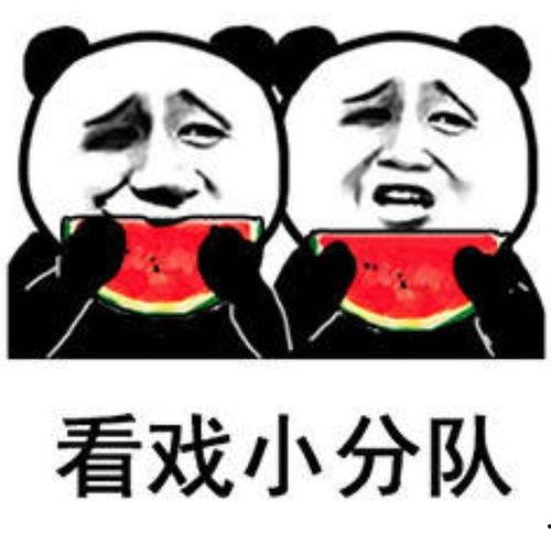 娱乐吃瓜群众,揭秘明星幕后故事，吃瓜群众狂欢时刻