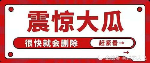 吃瓜娱乐类logo,揭秘吃瓜娱乐类Logo背后的故事