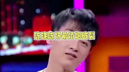 娱乐陈晓吃瓜,娱乐圈的甜蜜与苦涩