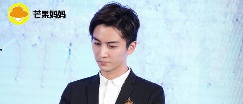 娱乐陈晓吃瓜,娱乐圈的甜蜜与苦涩