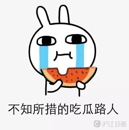 无敌吃瓜大娱乐,揭秘娱乐圈幕后故事与热点事件