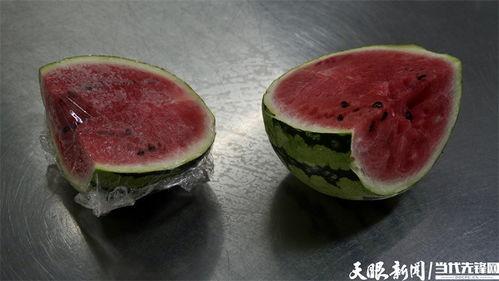 娱乐吃菌瓜,揭秘明星幕后故事与八卦传闻