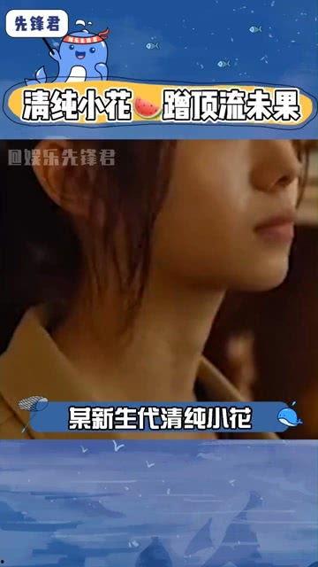 娱乐吃瓜顶流,揭秘顶流明星的幕后故事