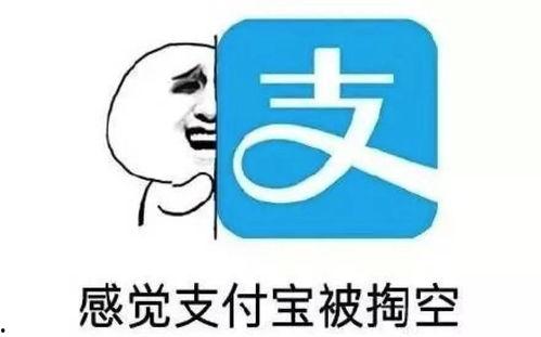 娱乐吃瓜快剪,揭秘幕后故事，畅享八卦盛宴