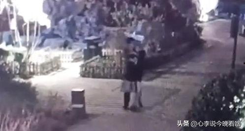 娱乐吃瓜视频完整,吃瓜群众视角下的明星幕后故事