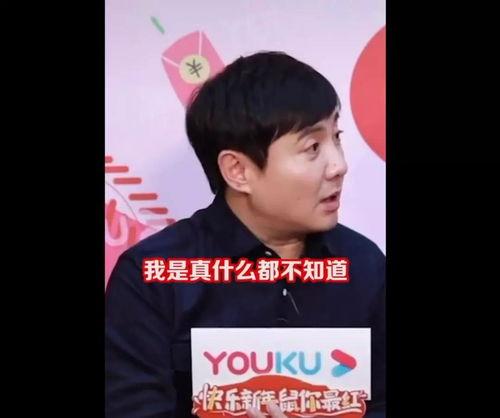 娱乐吃瓜小能手,娱乐吃瓜小能手的八卦盛宴