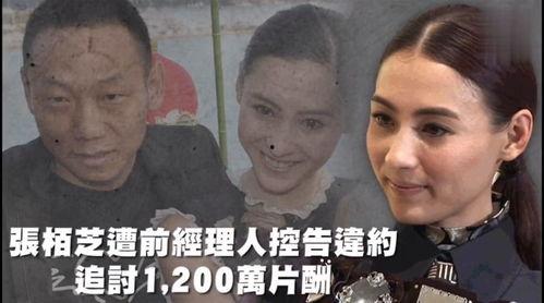 娱乐吃瓜最前排,最新吃瓜资讯大盘点