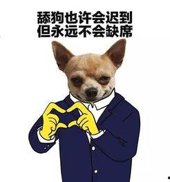 娱乐吃瓜君小狗,小狗“系统狗子”助力夏筱筱穿越古代嗑CP